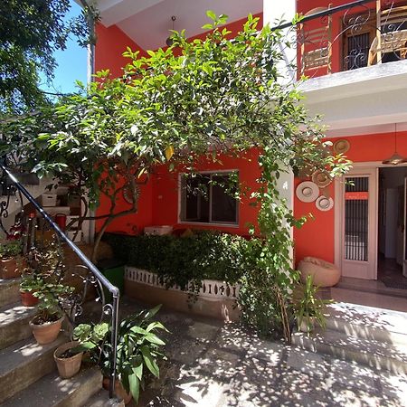Trip'N'Hostel Chill Zone Tirana Eksteriør billede